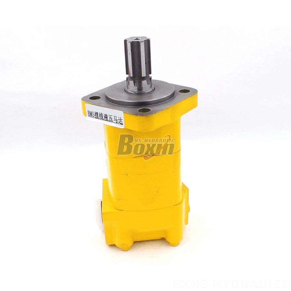 BM5 Cycloid Hydraulic Motor: OEM/ODM Services Available main image